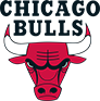 bulls Logo